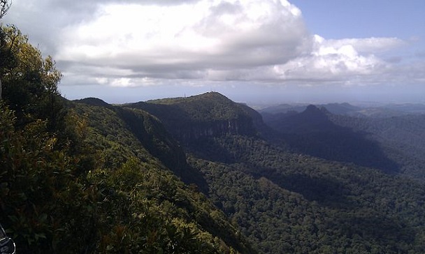Home of ITV's I'm a Celebrity Get Me Out of Here - Springbrook National Park - Photo by Knödelbaum