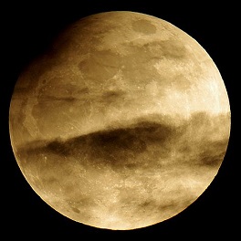 A Partial Lunar Eclipse - Photo by Wayne Young